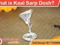 What is Kaal Sarp Dosh