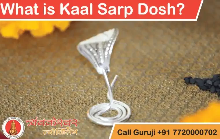 What is Kaal Sarp Dosh?