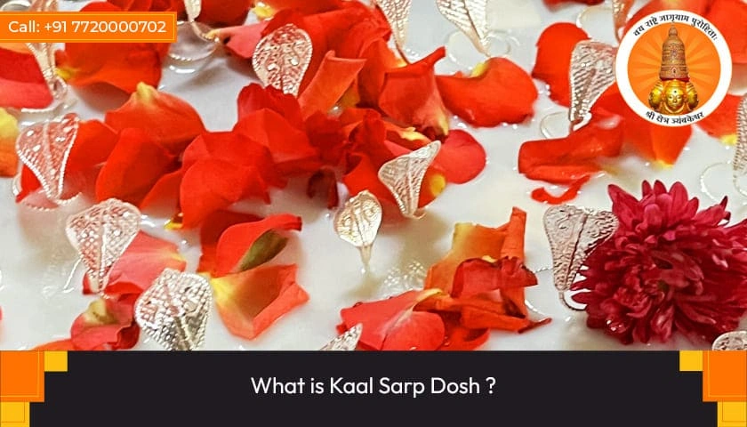 What is Kaal Sarp Dosh?