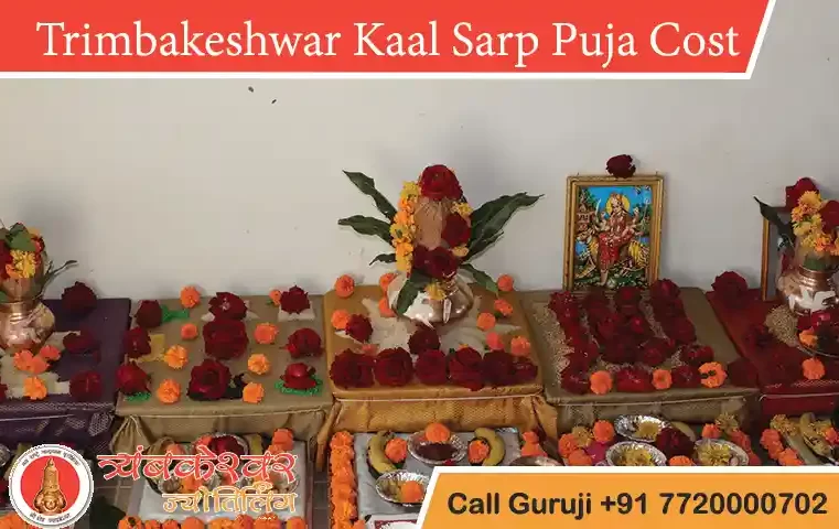 Kaal Sarp Dosh Puja in Trimbakeshwar Cost