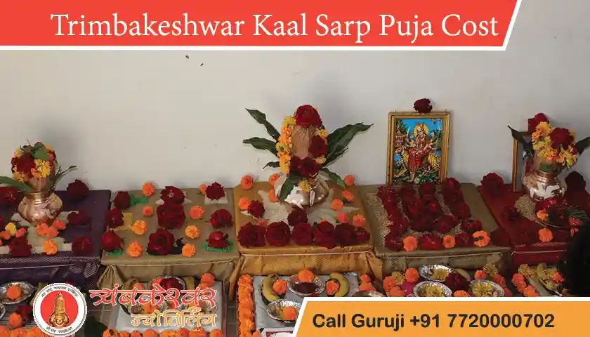 Kaal Sarp Dosh Puja in Trimbakeshwar Cost