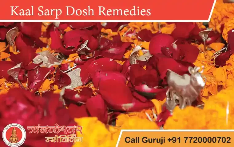 Kaal Sarp Dosh Remedies