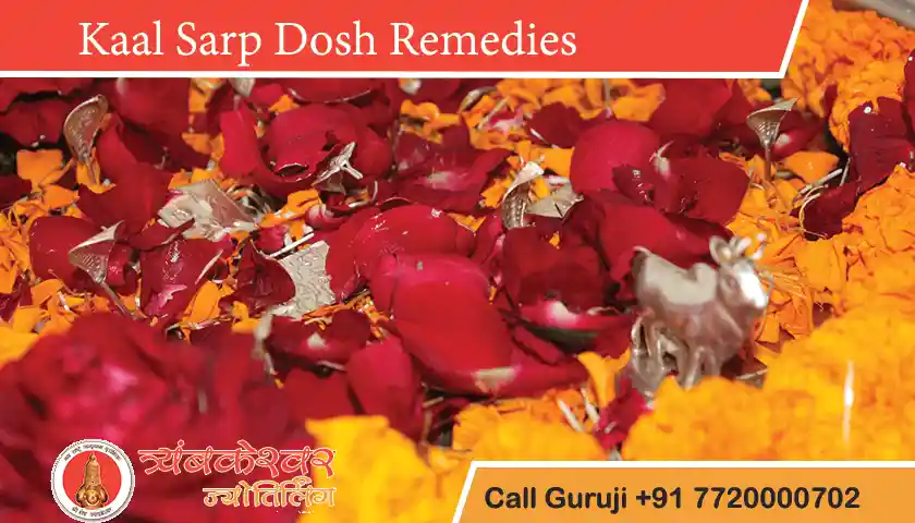 Kaal Sarp Dosh Remedies