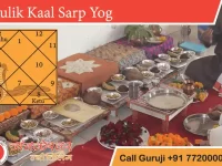 kulik kalsarp yog