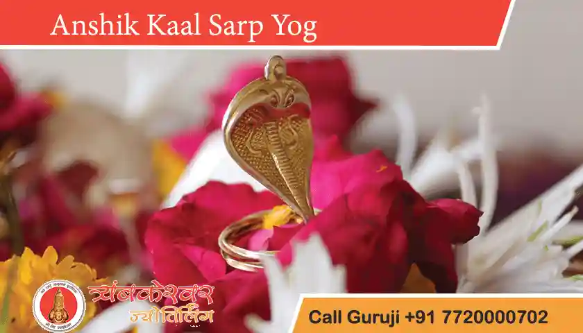 Anshik Kaal Sarp Dosh Effects, Remedies and Benefits