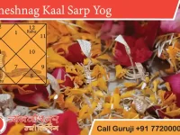 Sheshnag Kalsarp Yog