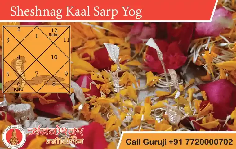 Sheshnag Kaal Sarp Dosh Remedies And Effects