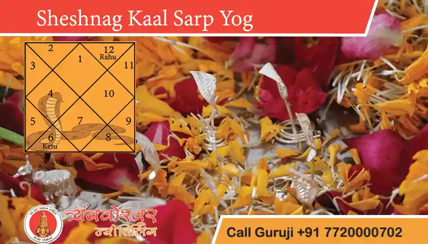 Sheshnag Kaal Sarp Dosh Remedies And Effects