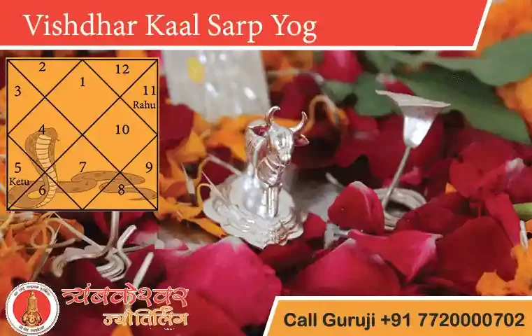 Vishdhar Kaal Sarp Dosh & Remedy