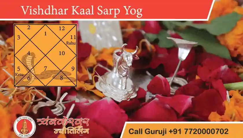 Vishdhar Kaal Sarp Dosh & Remedy