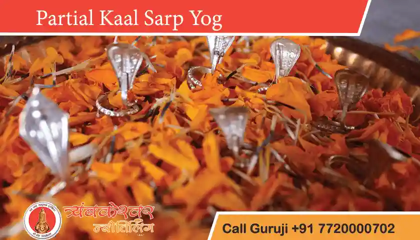 Partial kaal Sarp Dosh Positive Effects, Remedies and Solution