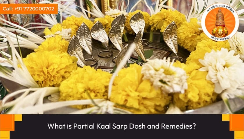 Partial kaal Sarp Dosh Positive Effects, Remedies and Solution